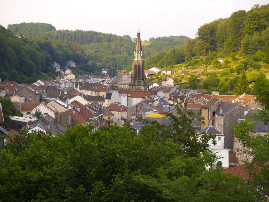 Aux Studios Du Parc Plombieres-les-Bains Luaran gambar